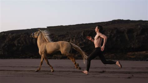 horse burberry|adam driver on a horse.